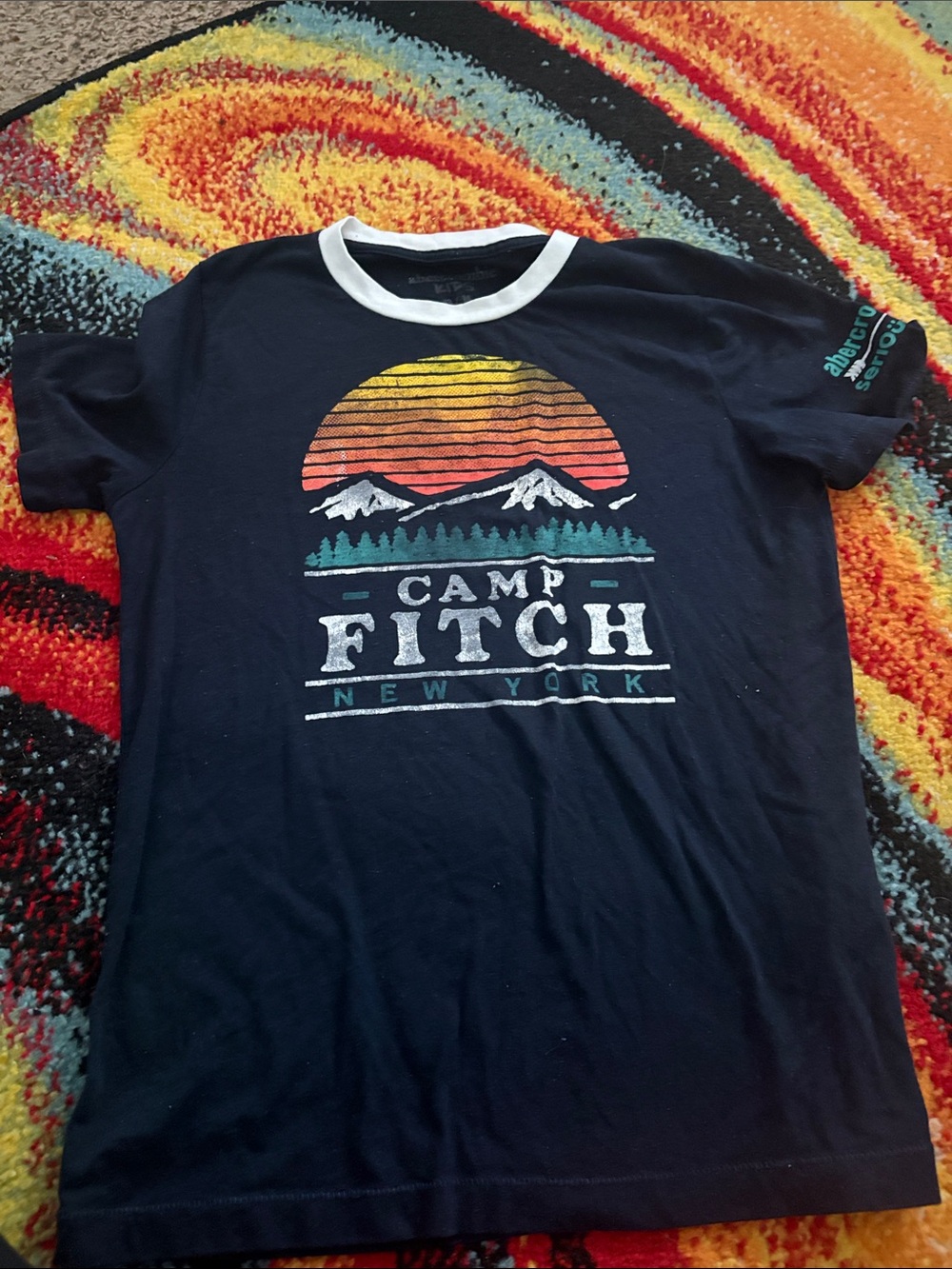 Abercrombie & Fitch Navy Ringer Camp Graphic Tee